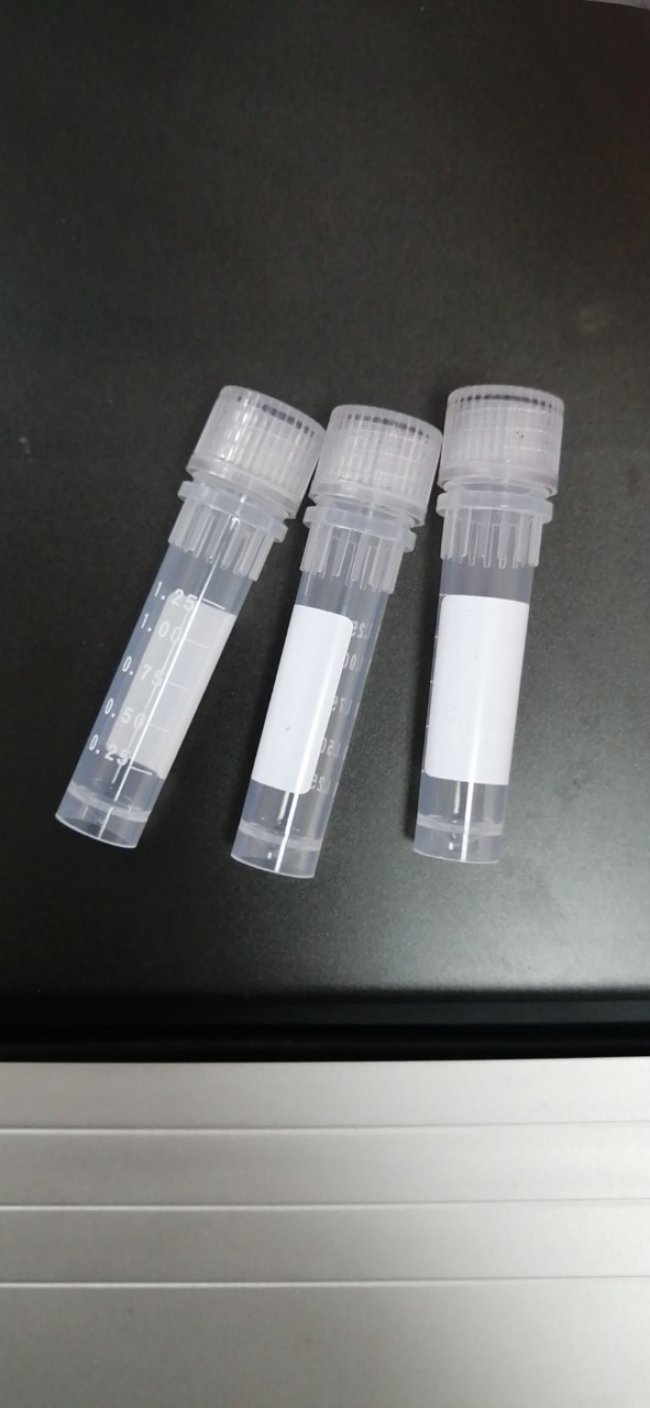 หลอด CryoTube แบบ Sterขนาด 2 ml. 2000ชิ้น/แพค 2.0ml Externai Thread ปราศจากเชื้อ RNAse และ DNAse Cryovials ฟรี