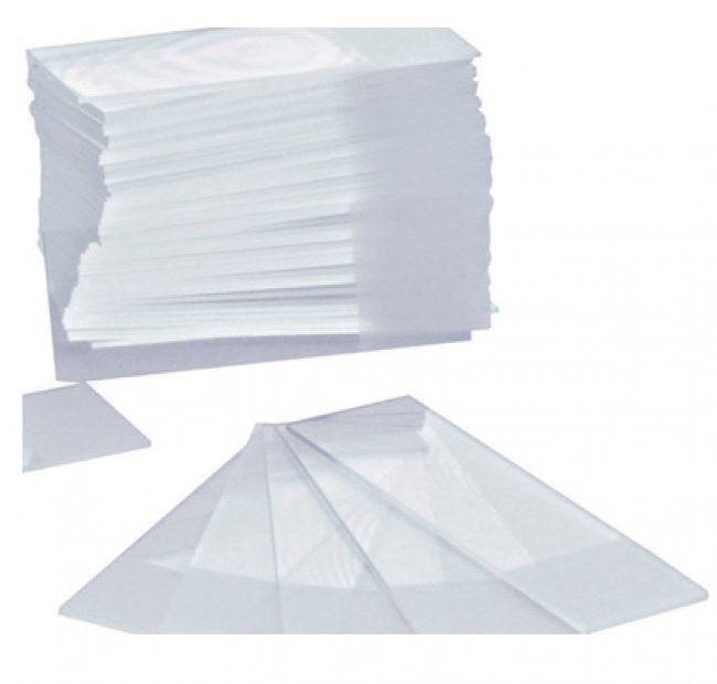 Microscope Slide