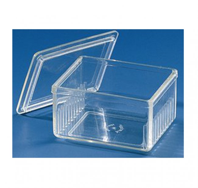 Staining Trough With Staining Tray