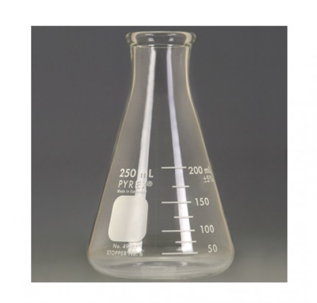Erlenmeyer Flask