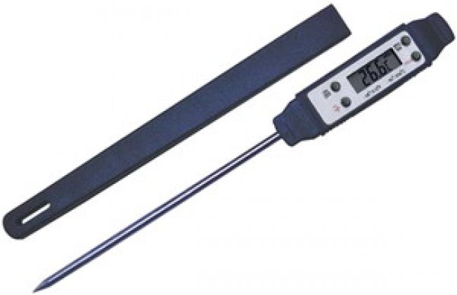 Thermometer Pen